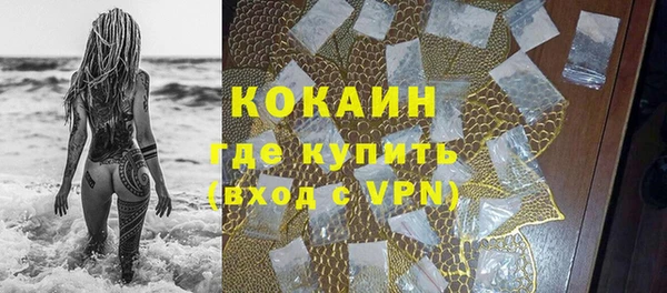 гашик Алексин
