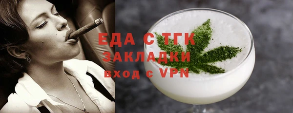 гашик Алексин