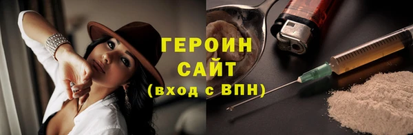 гашик Алексин