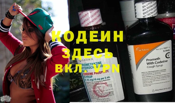 гашик Алексин
