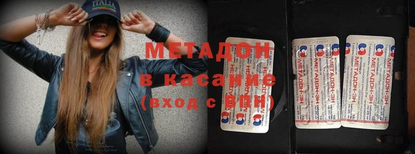 гашик Алексин