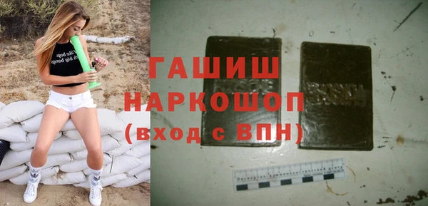 гашик Алексин